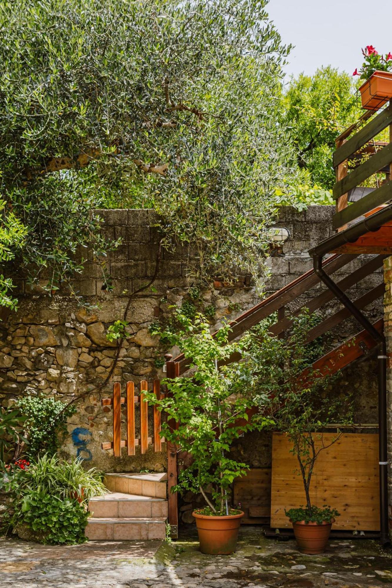 Cozy Castello Daire Manerba del Garda Dış mekan fotoğraf